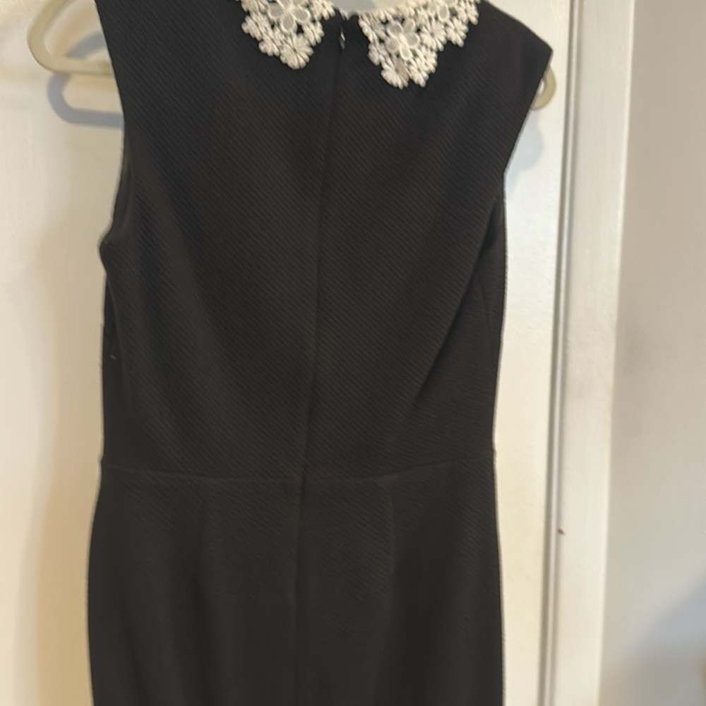 Betsey Johnson Fitted Lace Collar Dress - Picture 5 of 8